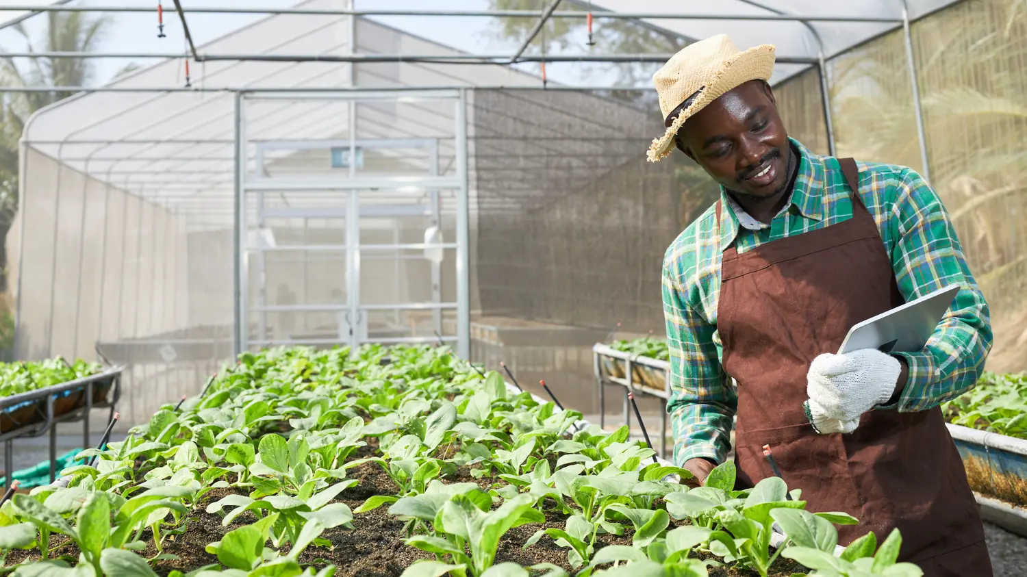 Agricultural Insurance
