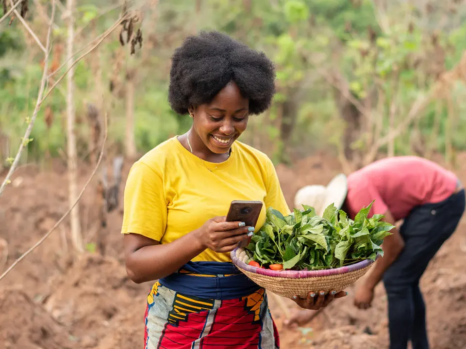 Agricultural Insurance in Kenya