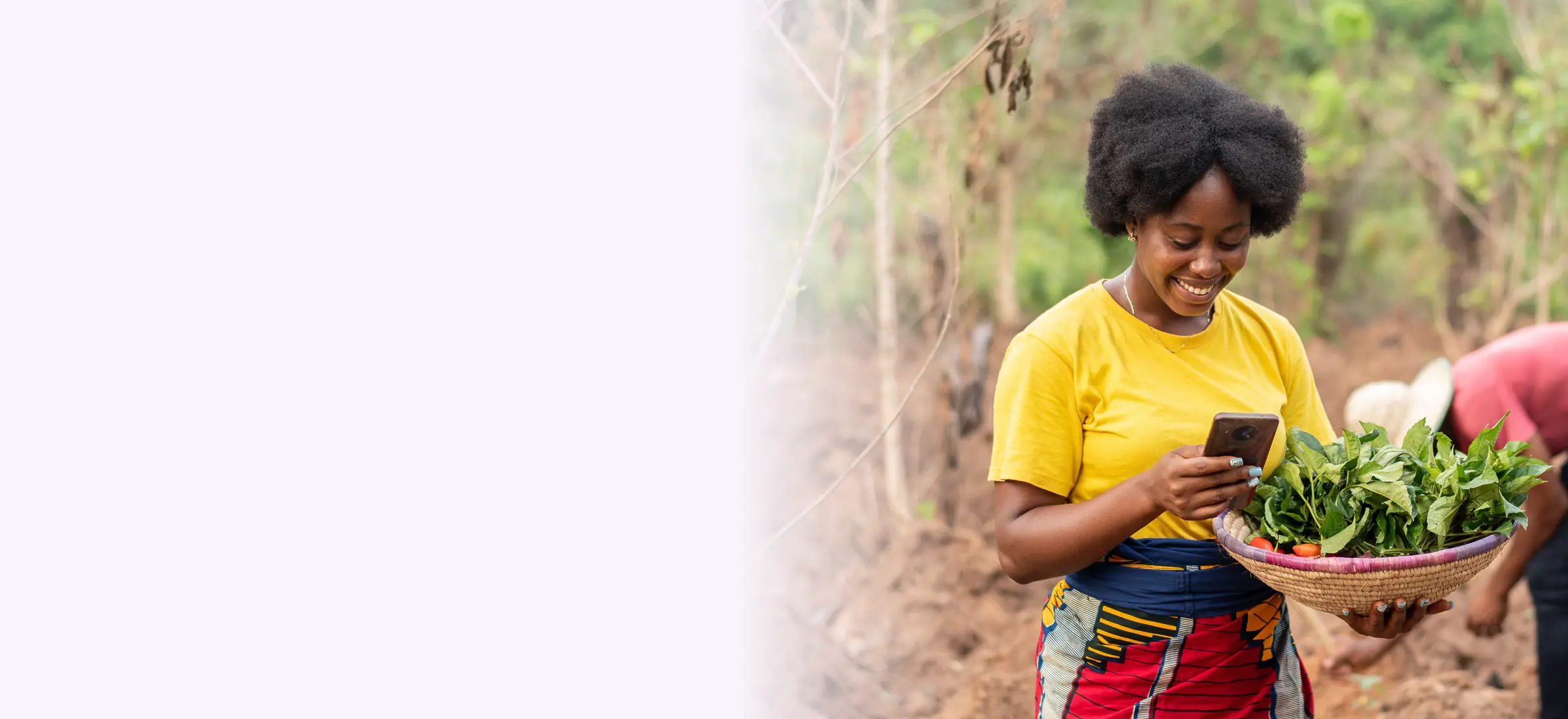 Kenyan farmer checking her phone while harvesting vegetables – agriculture insurance in Kenya