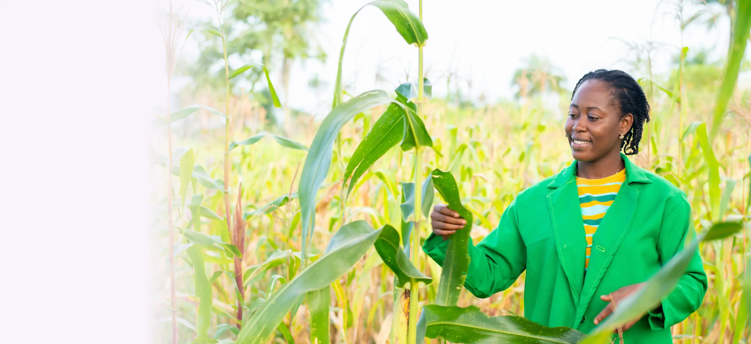 Smiling farmer in her maize field – crop insurance in Kenya